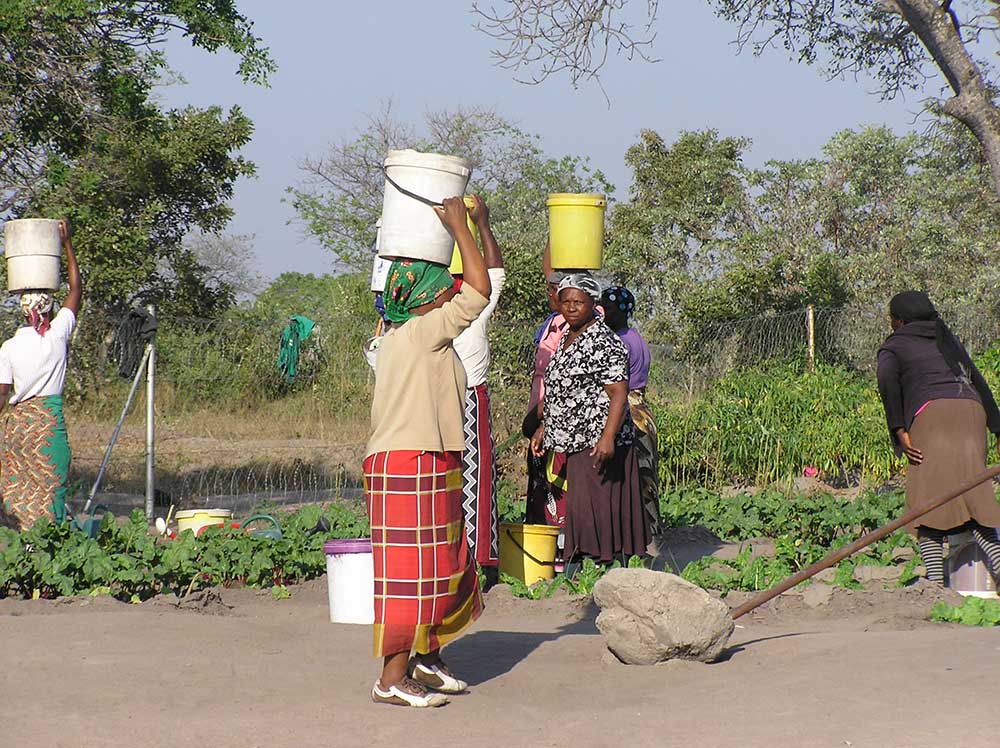 Women carrying buckets in a garden.