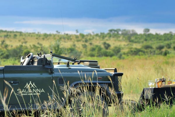 Safari vehicle in lush green grassland setting.