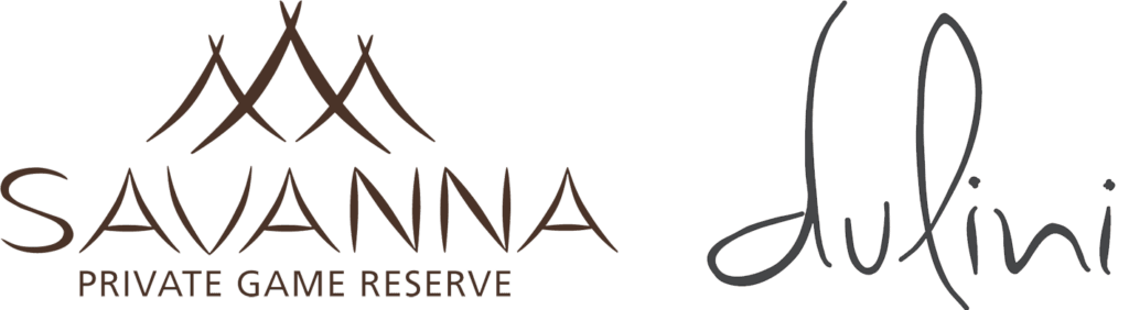 Safari logo
