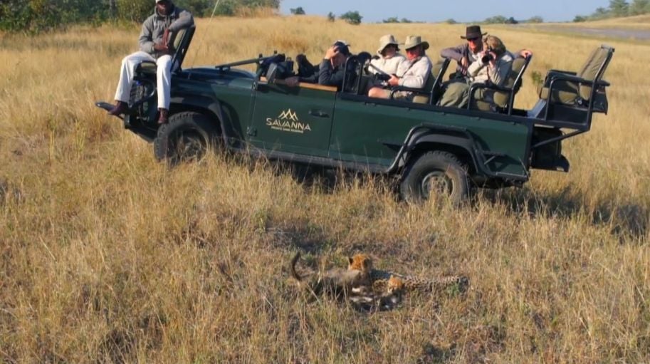 private group tour african safari