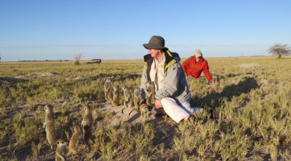 Playing with meerkats Botswana Africa