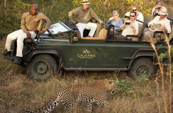 Sabi Sands Savanna Safari from Australia