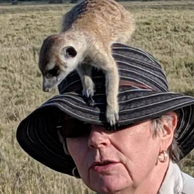 Meerkat with Hilary