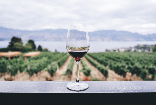 Glass of red wine with vineyard backdrop