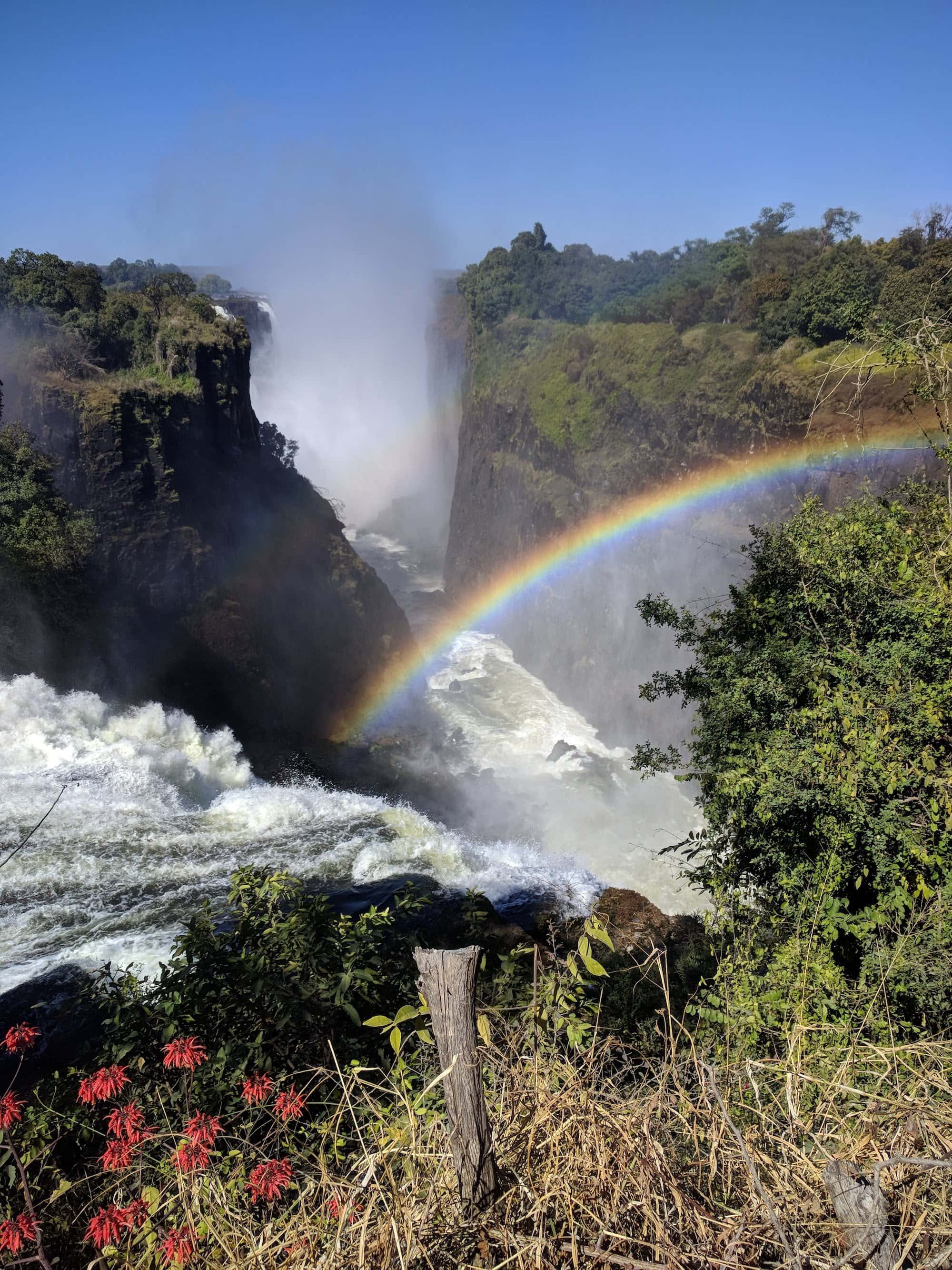Vibrant rainbow over powerful waterfalls and lush greenery.