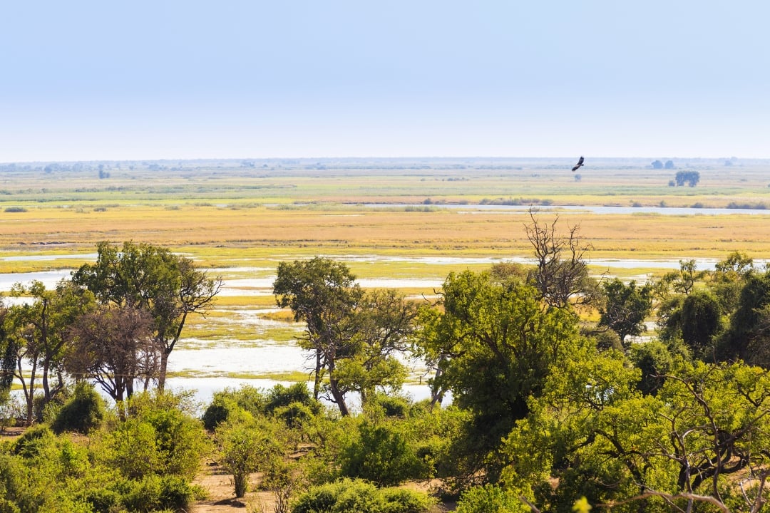 Exploring the Chobe River
