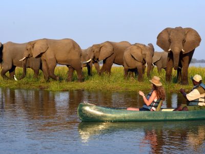 Canoeists near a herd of elephants by water.