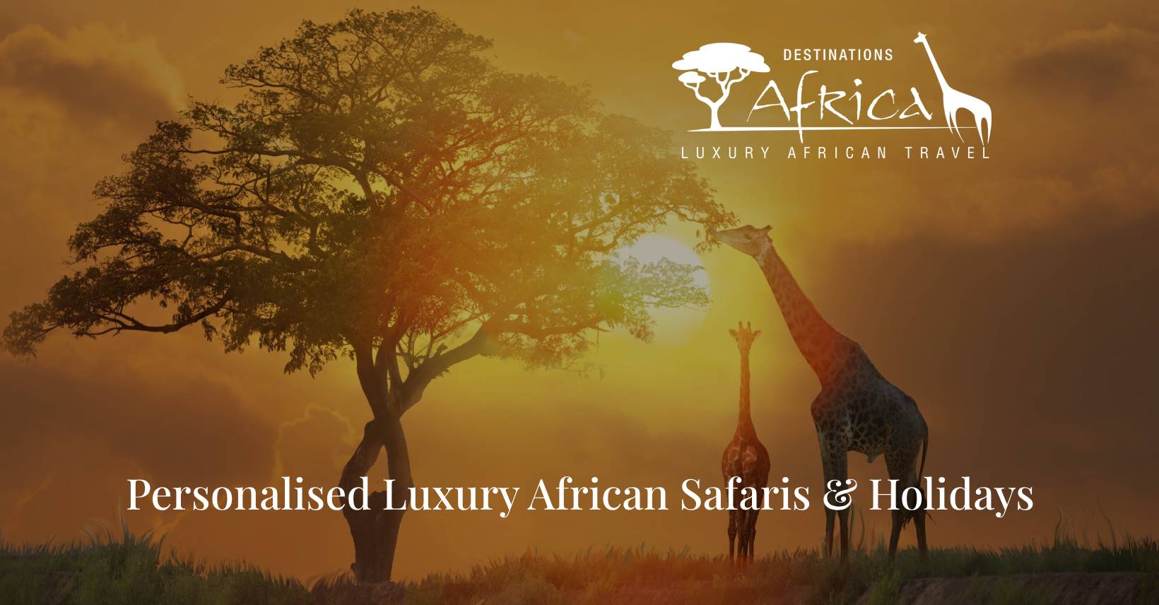 Destinations Africa logo
