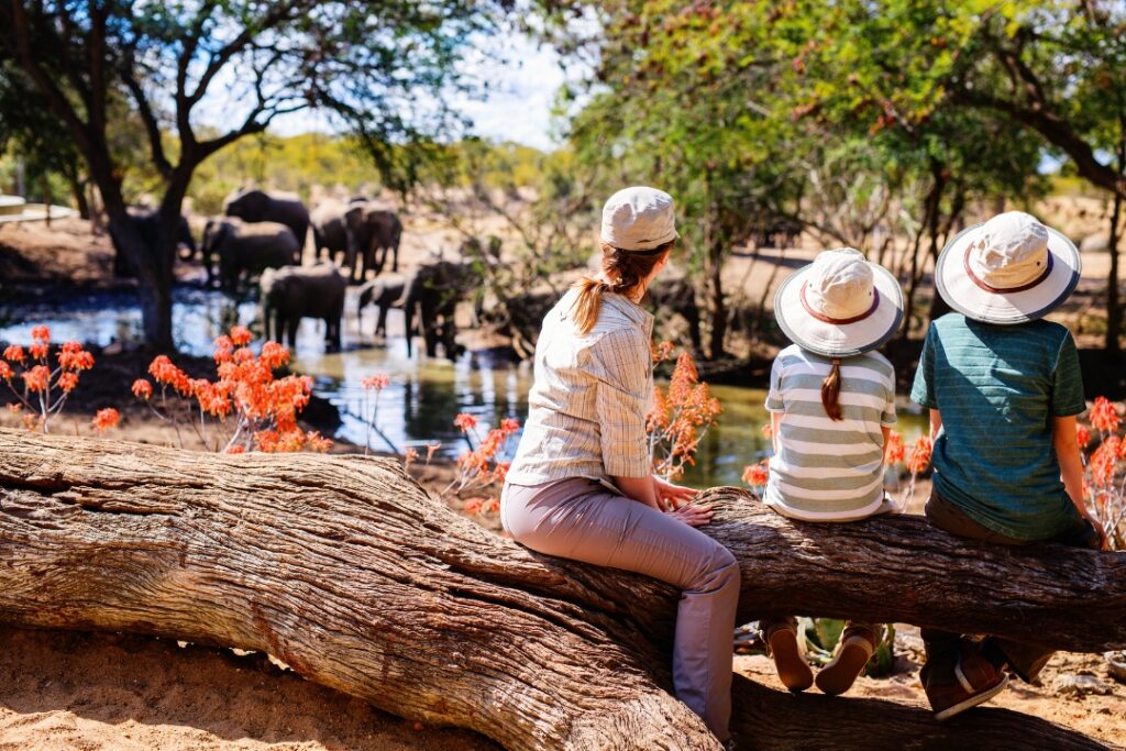 Budget vs Luxury African Safaris
