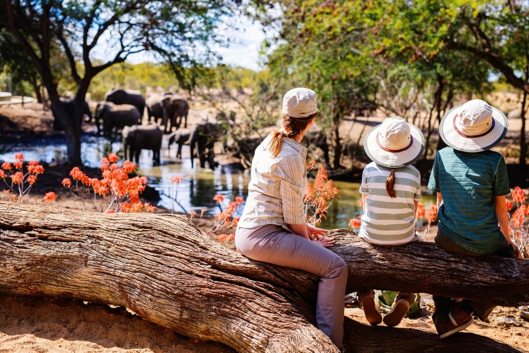 Budget vs Luxury African Safaris