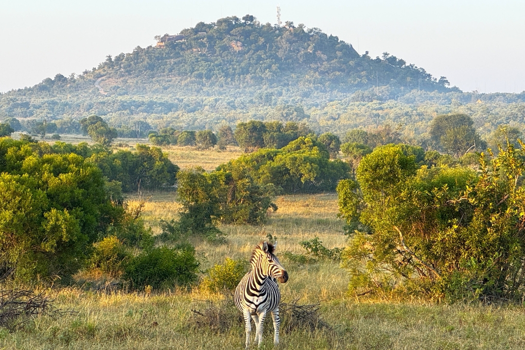 Greater Kruger Area, South Africa