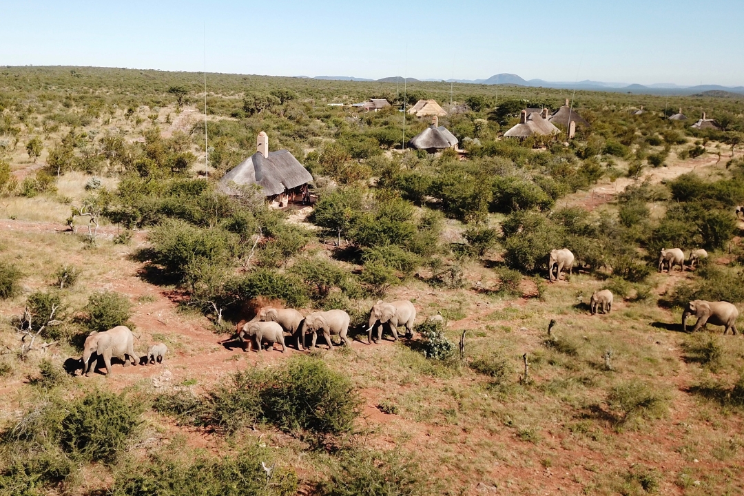 Madikwe Game Reserve, South Africa