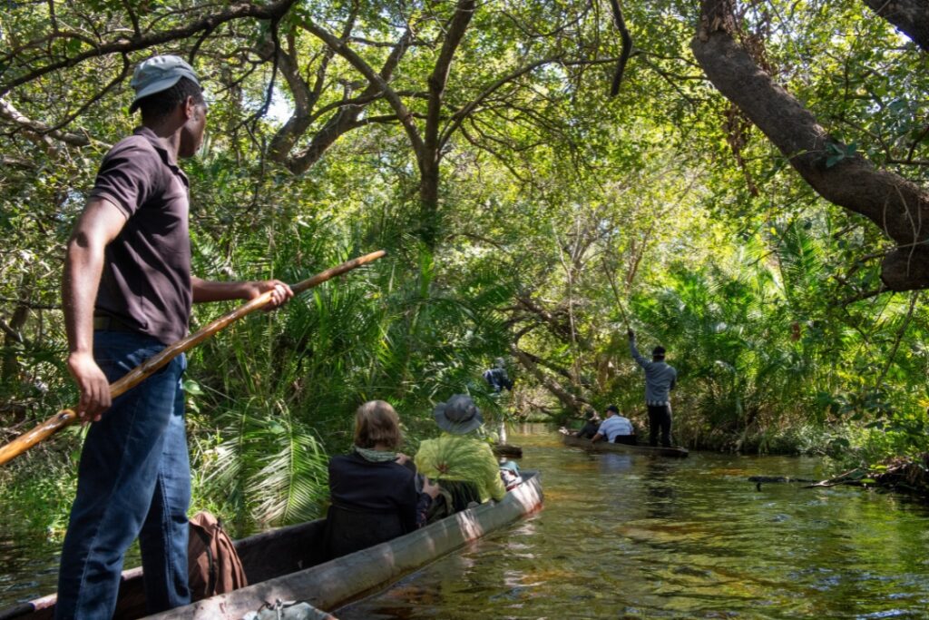 Okavango Delta, Botswana